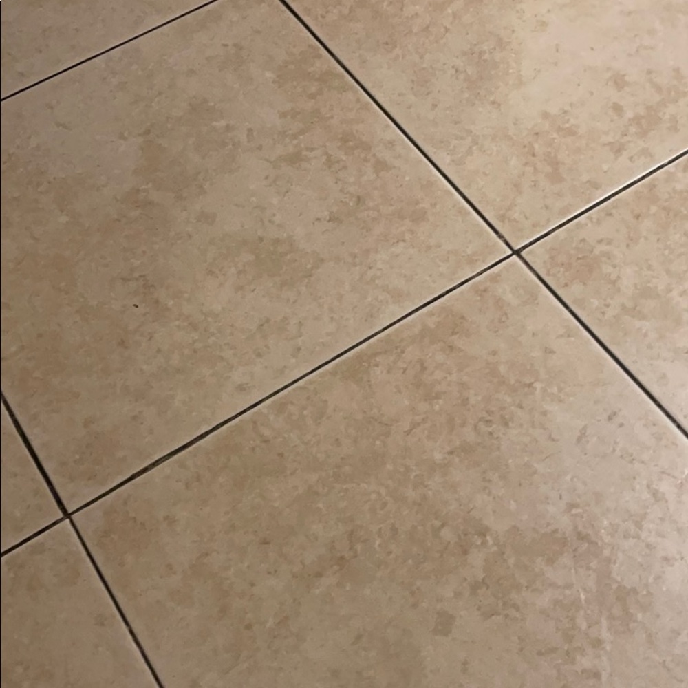 Meet your Posher, Rosa